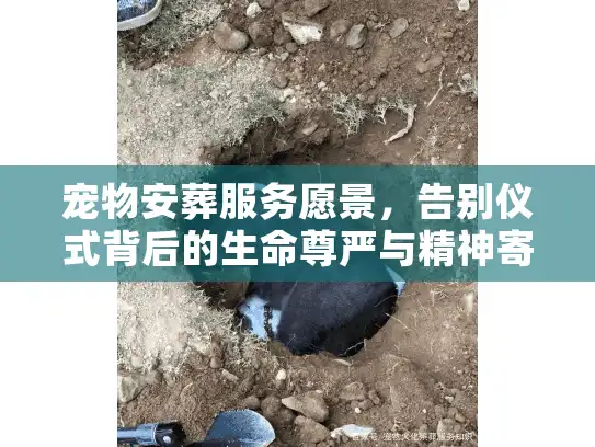 宠物安葬服务愿景,告别仪式背后的生命尊严与精神寄托 宠物安葬服务愿景,告别仪式背后的生命尊严与精神寄托