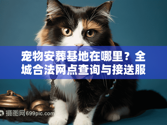 宠物安葬基地在哪里?全城合法网点查询与接送服务流程 宠物安葬基地在哪里?全城合法网点查询与接送服务流程