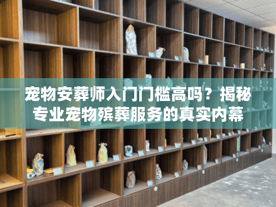 宠物安葬师入门门槛高吗？揭秘专业宠物殡葬服务的真实内幕