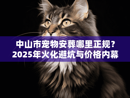 中山市宠物安葬哪里正规？2025年火化避坑与价格内幕