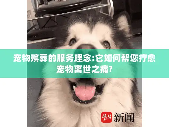 宠物殡葬的服务理念:它如何帮您疗愈宠物离世之痛?