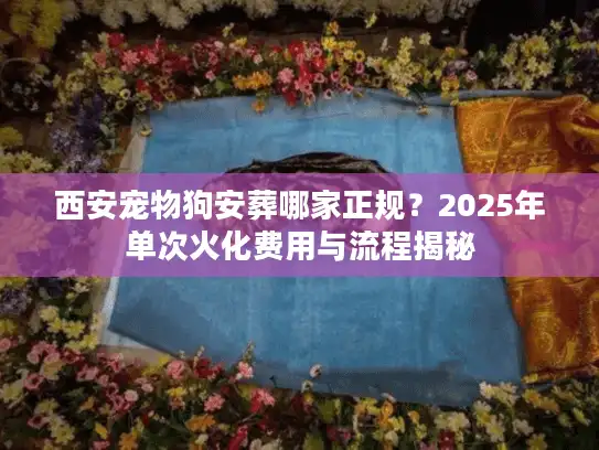 西安宠物狗安葬哪家正规?2025年单次火化费用与流程揭秘 西安宠物狗安葬哪家正规?2025年单次火化费用与流程揭秘