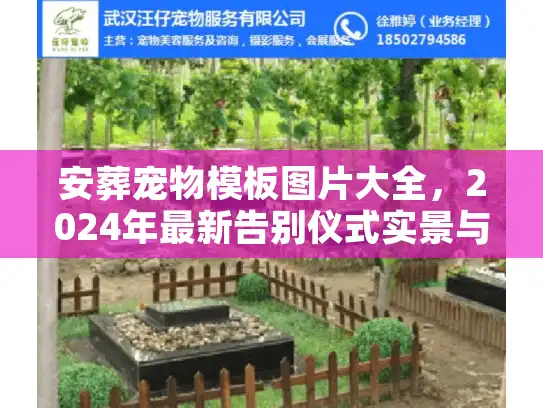 安葬宠物模板图片大全，2024年最新告别仪式实景与骨灰瓮鉴赏