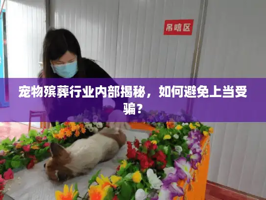 宠物殡葬行业内部揭秘，如何避免上当受骗？