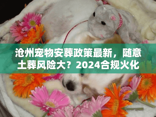 沧州宠物安葬政策最新，随意土葬风险大？2024合规火化内幕