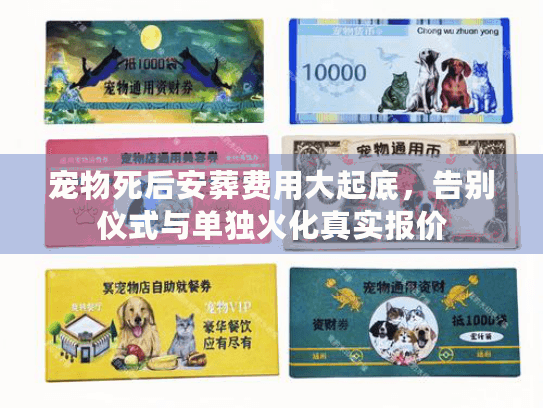宠物死后安葬费用大起底，告别仪式与单独火化真实报价