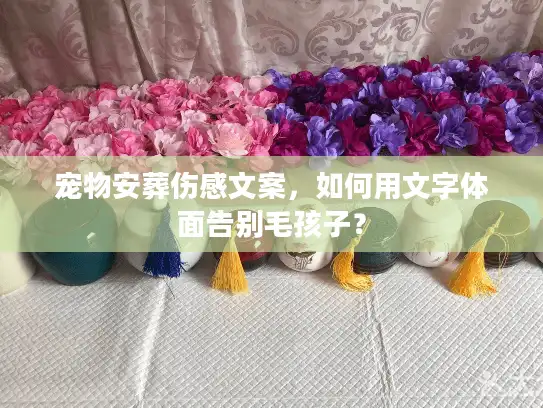 宠物安葬伤感文案，如何用文字体面告别毛孩子？