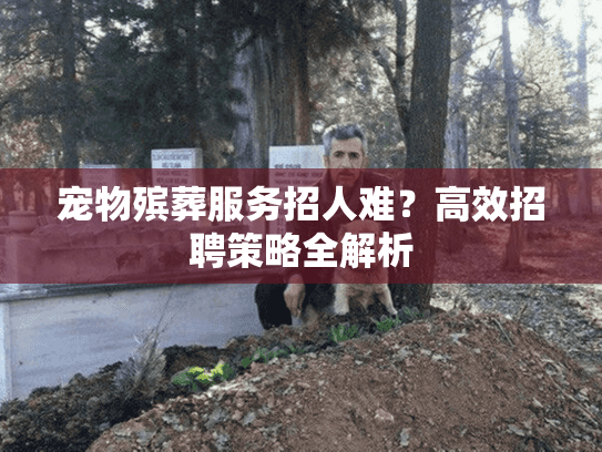 宠物殡葬服务招人难？高效招聘策略全解析