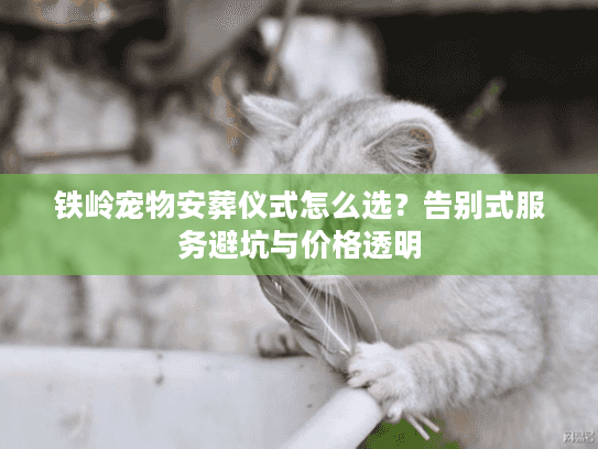 铁岭宠物安葬仪式怎么选？告别式服务避坑与价格透明