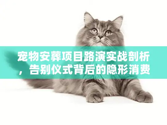 宠物安葬项目路演实战剖析，告别仪式背后的隐形消费与价值