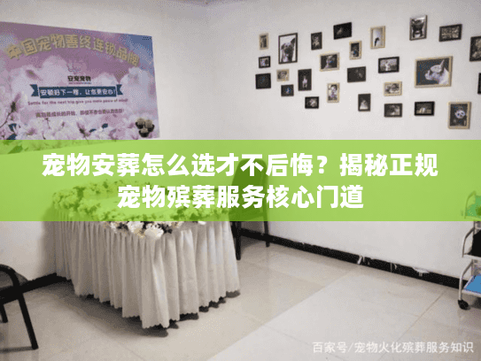 宠物安葬怎么选才不后悔?揭秘正规宠物殡葬服务核心门道 宠物安葬怎么选才不后悔?揭秘正规宠物殡葬服务核心门道