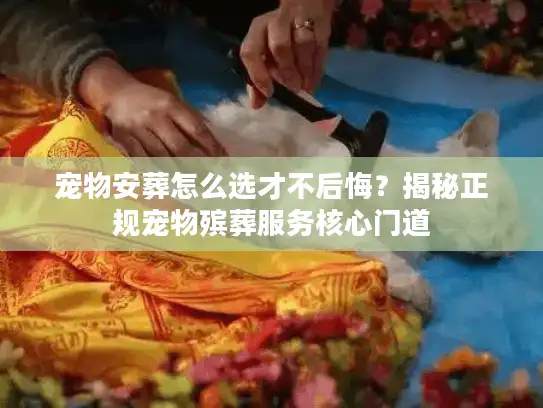 宠物安葬怎么选才不后悔?揭秘正规宠物殡葬服务核心门道 宠物安葬怎么选才不后悔?揭秘正规宠物殡葬服务核心门道