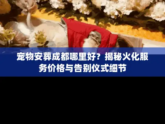 宠物安葬成都哪里好？揭秘火化服务价格与告别仪式细节