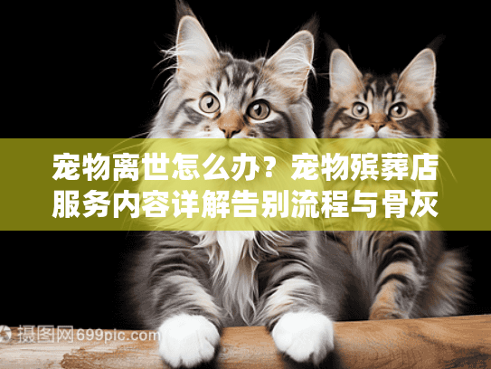 宠物离世怎么办？宠物殡葬店服务内容详解告别流程与骨灰安置选项