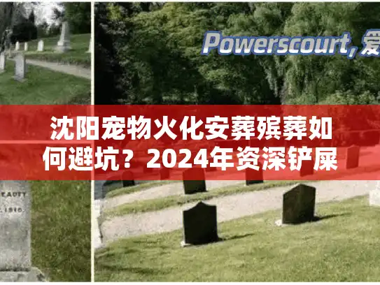 沈阳宠物火化安葬殡葬如何避坑？2024年资深铲屎官实战复盘
