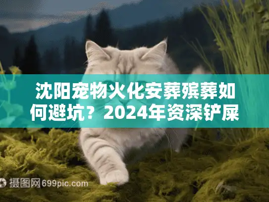 沈阳宠物火化安葬殡葬如何避坑？2024年资深铲屎官实战复盘