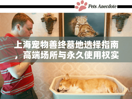 上海宠物善终墓地选择指南，高端场所与永久使用权实地测评