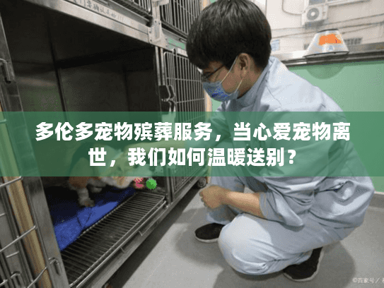 多伦多宠物殡葬服务，当心爱宠物离世，我们如何温暖送别？