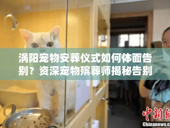 涡阳宠物安葬仪式如何体面告别?资深宠物殡葬师揭秘告别式流程 涡阳宠物安葬仪式如何体面告别?资深宠物殡葬师揭秘告别式流程