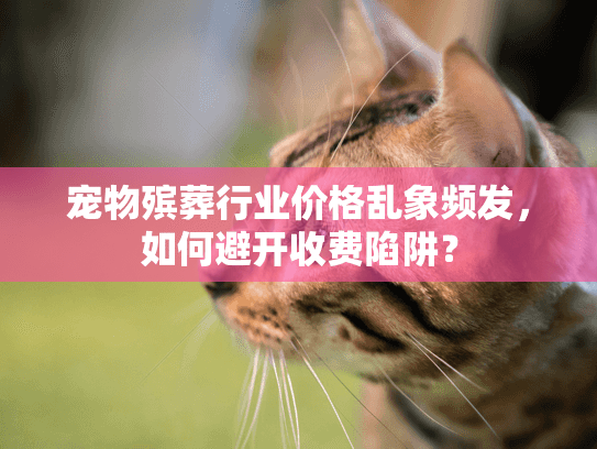 宠物殡葬行业价格乱象频发，如何避开收费陷阱？