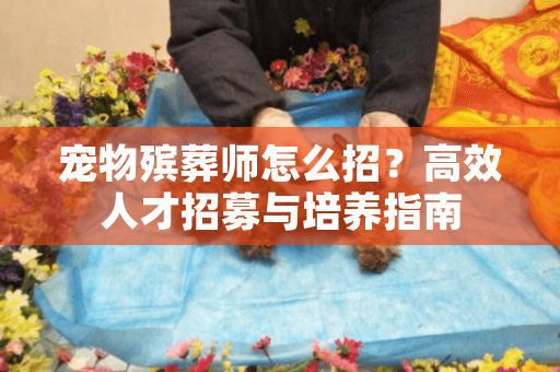 宠物殡葬师怎么招？高效人才招募与培养指南