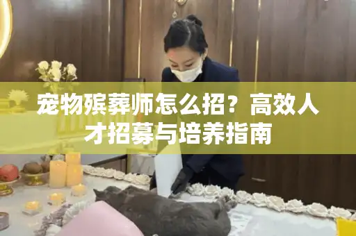 宠物殡葬师怎么招？高效人才招募与培养指南