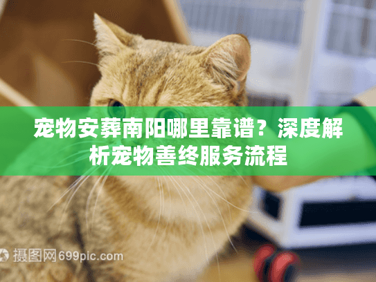 宠物安葬南阳哪里靠谱?深度解析宠物善终服务流程 宠物安葬南阳哪里靠谱?深度解析宠物善终服务流程