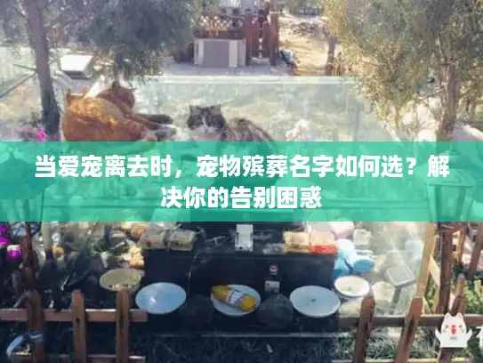 当爱宠离去时，宠物殡葬名字如何选？解决你的告别困惑