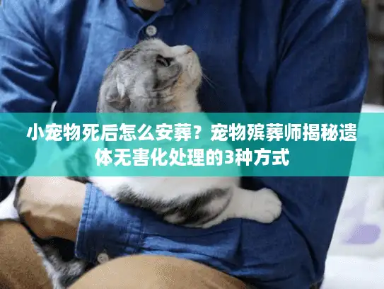 小宠物死后怎么安葬？宠物殡葬师揭秘遗体无害化处理的3种方式