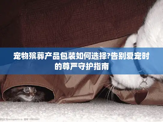 宠物殡葬产品包装如何选择?告别爱宠时的尊严守护指南