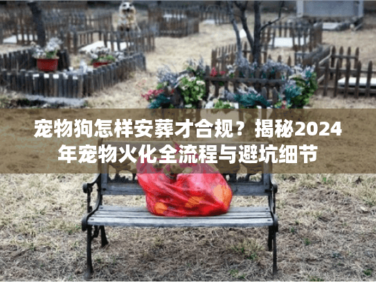 宠物狗怎样安葬才合规？揭秘2024年宠物火化全流程与避坑细节