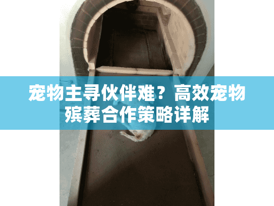 宠物主寻伙伴难？高效宠物殡葬合作策略详解