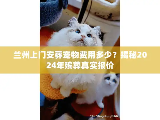 兰州上门安葬宠物费用多少？揭秘2024年殡葬真实报价