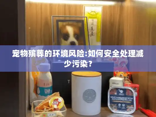 宠物殡葬的环境风险:如何安全处理减少污染? 宠物殡葬的环境风险:如何安全处理减少污染?