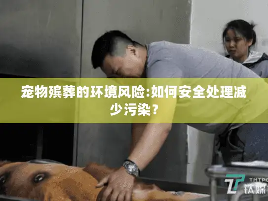 宠物殡葬的环境风险:如何安全处理减少污染? 宠物殡葬的环境风险:如何安全处理减少污染?