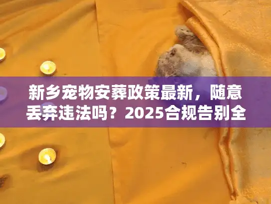 新乡宠物安葬政策最新，随意丢弃违法吗？2025合规告别全流程