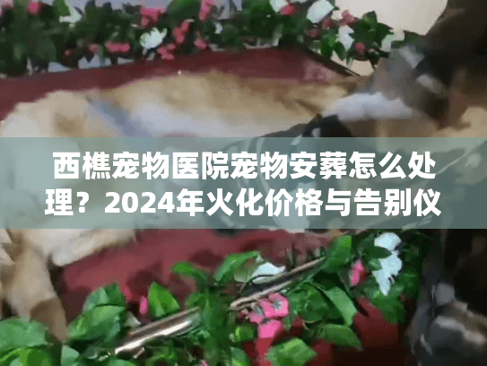 西樵宠物医院宠物安葬怎么处理？2024年火化价格与告别仪式避坑实录