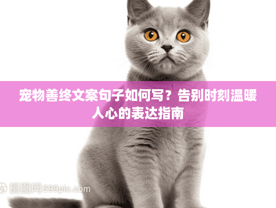 宠物善终文案句子如何写？告别时刻温暖人心的表达指南