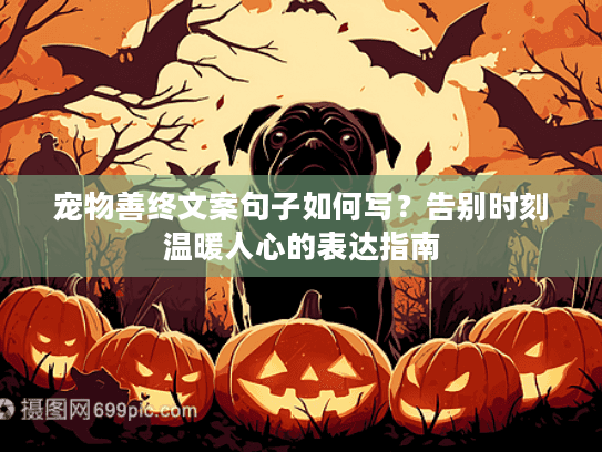 宠物善终文案句子如何写？告别时刻温暖人心的表达指南