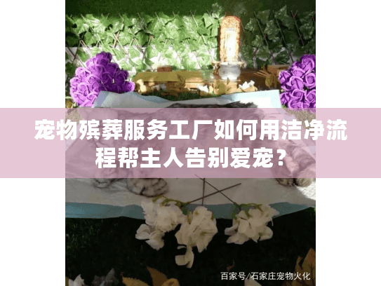 宠物殡葬服务工厂如何用洁净流程帮主人告别爱宠？