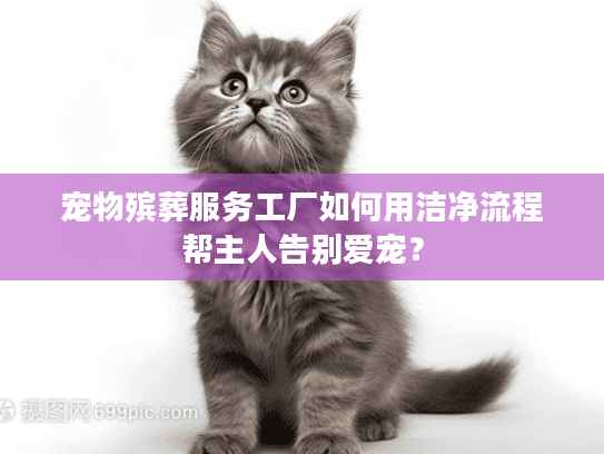 宠物殡葬服务工厂如何用洁净流程帮主人告别爱宠？