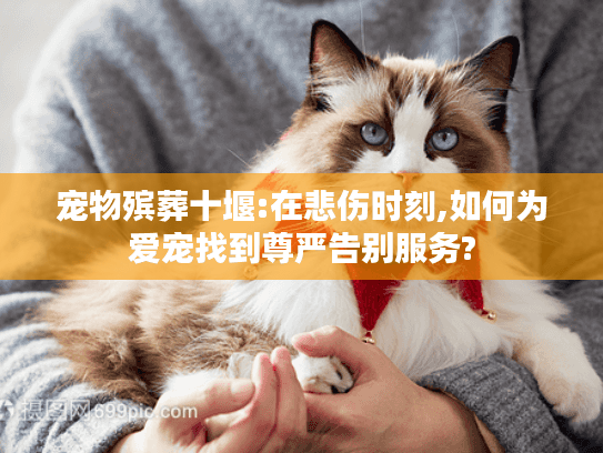 宠物殡葬十堰:在悲伤时刻,如何为爱宠找到尊严告别服务?