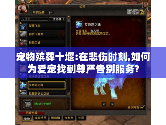 宠物殡葬十堰:在悲伤时刻,如何为爱宠找到尊严告别服务?