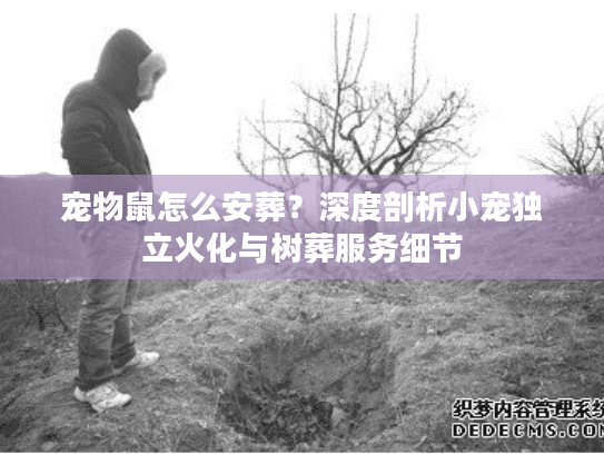 宠物鼠怎么安葬？深度剖析小宠独立火化与树葬服务细节