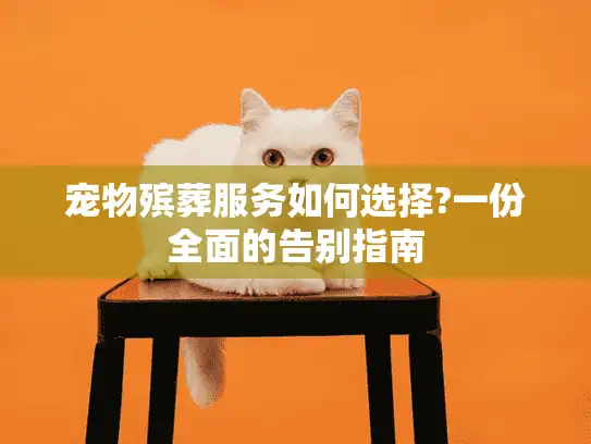 宠物殡葬服务如何选择?一份全面的告别指南 宠物殡葬服务如何选择?一份全面的告别指南