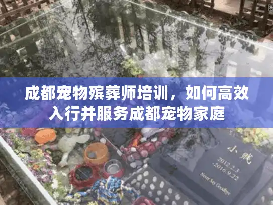 成都宠物殡葬师培训,如何高效入行并服务成都宠物家庭 成都宠物殡葬师培训,如何高效入行并服务成都宠物家庭