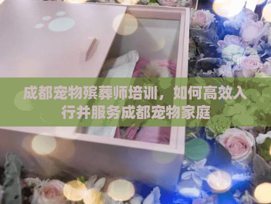 成都宠物殡葬师培训,如何高效入行并服务成都宠物家庭 成都宠物殡葬师培训,如何高效入行并服务成都宠物家庭