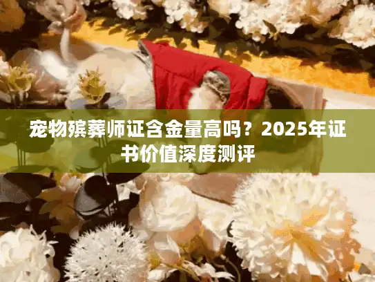 宠物殡葬师证含金量高吗？2025年证书价值深度测评
