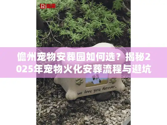 儋州宠物安葬园如何选？揭秘2025年宠物火化安葬流程与避坑内幕