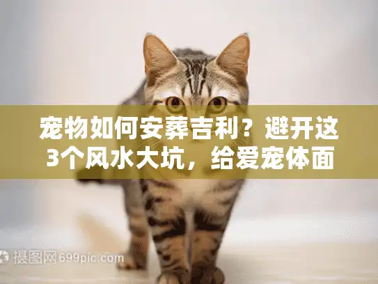 宠物如何安葬吉利？避开这3个风水大坑，给爱宠体面告别